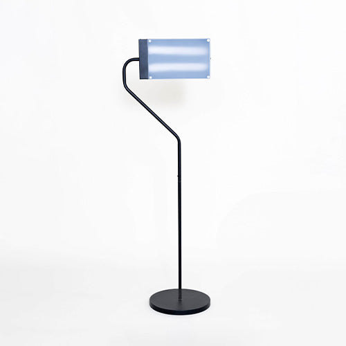 Northern Light Technologies Flamingo Floor Lamp