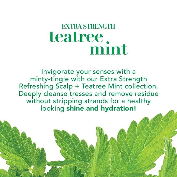 OGX Extra Strength Refreshing Scalp Tea Tree Mint Conditioner 385mL