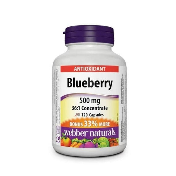 Webber Naturals Blueberry 500mg 36:1 Concentrate 120 Capsules