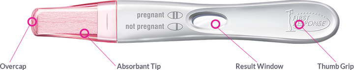 First Response Pregnancy Rapid Result Test