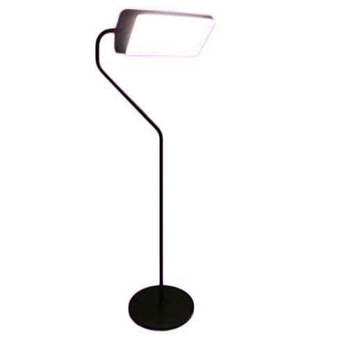 Northern Light Technologies Flamingo Floor Lamp