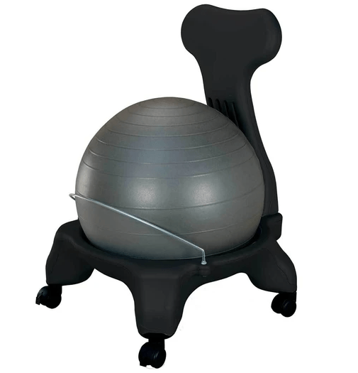 Relaxus Fit Ball Chair