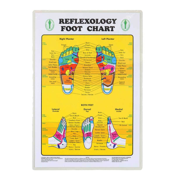 Relaxus Foot Reflexology Chart