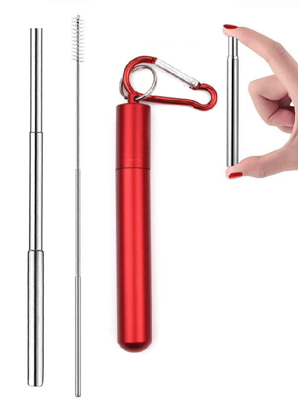 Yes Wellness Reusable Stainless Steel Straw Kit Keychain Red
